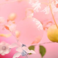 CHANCE EAU TENDRE  100ML-127460 CHANCE EAU TENDRE  100ML-127460 2